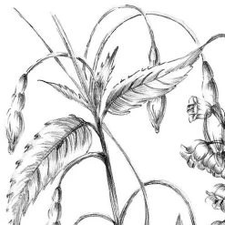 Butterfly Field | Flora & Fauna Mural -Home Wallpaper X8 1085 3