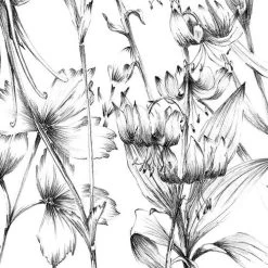 Butterfly Field | Flora & Fauna Mural -Home Wallpaper X8 1085 4