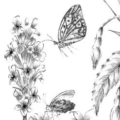Butterfly Field | Flora & Fauna Mural -Home Wallpaper X8 1085 5