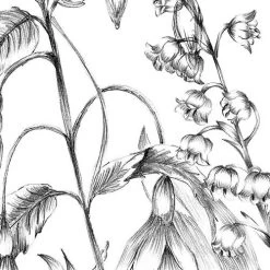 Butterfly Field | Flora & Fauna Mural -Home Wallpaper X8 1085 6