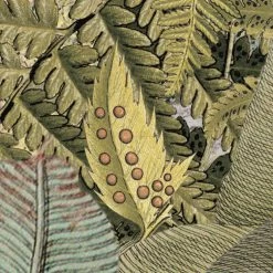 Amazonia | Busy Jungle Mural 12 Amazonia | Busy Jungle Mural -Home Wallpaper XXL4 063 4