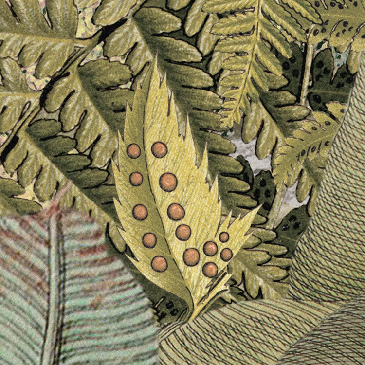 Amazonia | Busy Jungle Mural 5 Amazonia | Busy Jungle Mural - Image 5