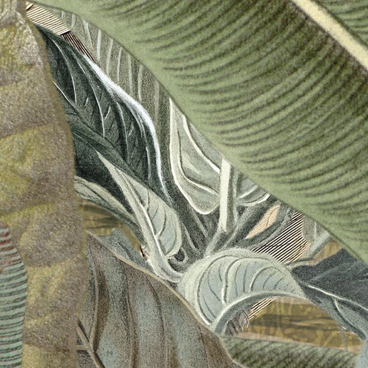 Amazonia | Busy Jungle Mural 7 Amazonia | Busy Jungle Mural - Image 7